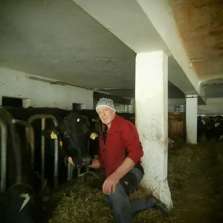 بيت للعطل Schneiderhof سيفيلد ان تيرول